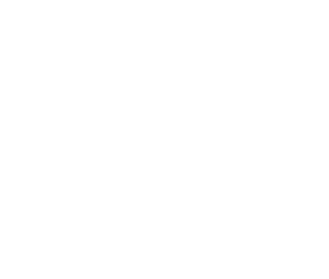 Willows Spa Logo