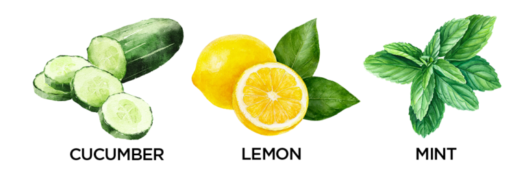 fruit
